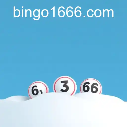 Exploring User Agreements: Insights from Bingo166